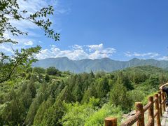 -白水寺森林公园