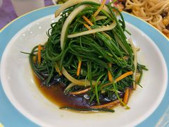 拌沙葱-新疆巴州金丝特餐厅(大钟寺店)