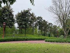 -眉山湿地公园(东坡区)