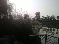 -白鹭湾湿地公园