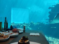 -涛·海底餐厅·美人鱼·自助餐·海底隧道(三亚海棠湾洲际度假酒店)