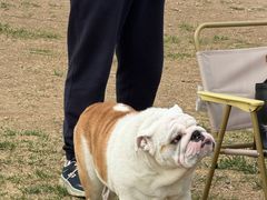 -小意思咖啡店(草桥店)