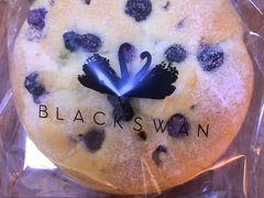 -BLACKSWAN黑天鹅(环球店)