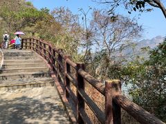 -羚羊峡古栈道森林公园