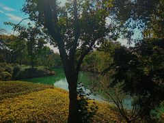 -西溪国家湿地公园