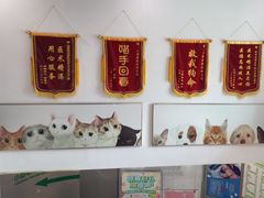 -爱侣宠医·鹦鹉专科·小型哺乳类·异宠专科(灵石路店)