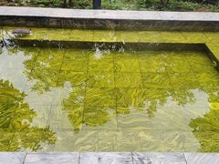 -英德宝晶宫天鹅湖茶语温泉