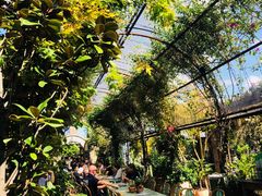 -The Grounds of Alexandria