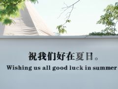 -白茶原·一片叶子