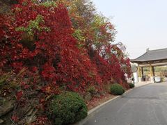 -大连金龙寺国家森林公园-售票处