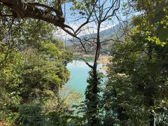 -广州市流溪河国家森林公园