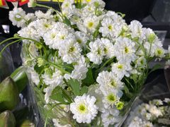 -嘿嘛仓储购(华明店)
