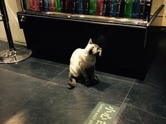 -吱咖啡西式简餐