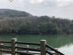 -白马涧龙池景区
