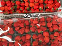 -东方鼎信农副产品交易中心