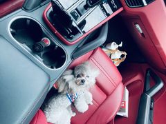 -FAELING PETS美天灵宠物(富力广场店)