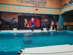 -锦艺城海洋馆