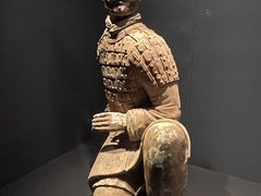 -陕西历史博物馆