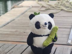 -婺源月亮湾