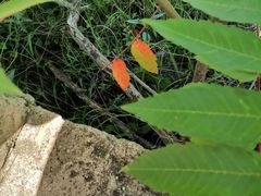 -白草畔自然风景区