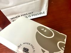 -WHEN PIGS FLY当猪飞