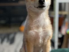 -华声天桥民俗文化园