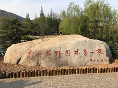 -习家池