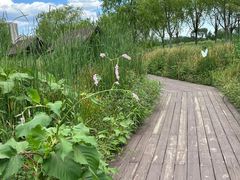 -永定河休闲森林公园