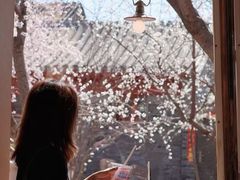 -春风习习