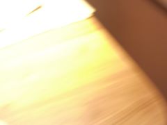 -osteria pelecanus鹈鹕野餐(滨江星耀店)