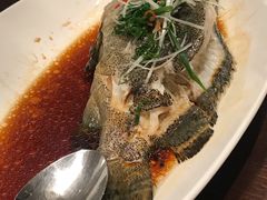 清蒸老虎斑-京香轩·中餐厅(上海中庚聚龙酒店)