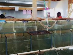 水产区-罗源湾8号渔排