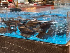 -艳阳天·非遗楚菜(武汉客厅店)