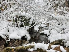 -安吉龙王山风景区