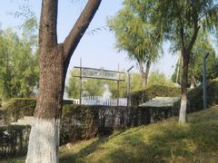 -青龙湖公园
