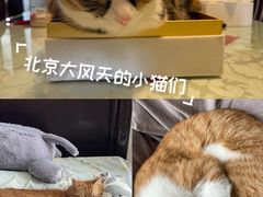 -新荟城(望京店)