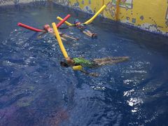 -贝贝鲸亲子游泳俱乐部(富城商楼店)