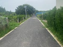 -小六农家乐(崇明西沙湿地店)