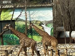 -北京野生动物园