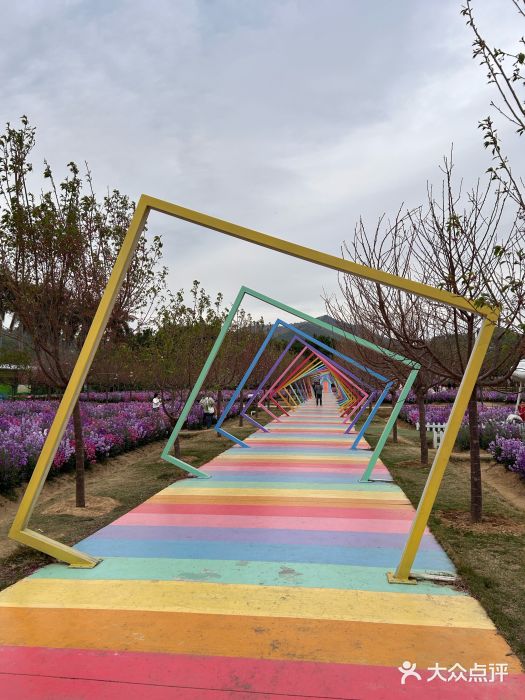 盈香心动乐园图片