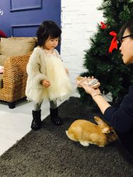 点击看大图 -BabyA 专业婴童摄影(古北时尚广场店)