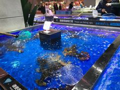 -盒马鲜生(昆城店)