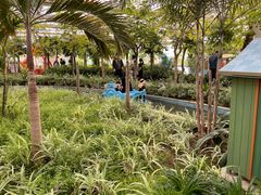 -南宫五洲植物乐园