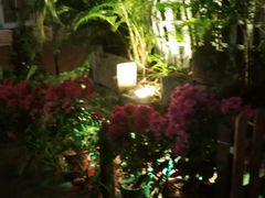 -爵士花园音乐酒吧餐厅