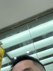 点击看大图 -镁连社·美联社