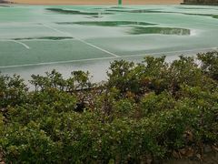 -上海理工大学附属杨浦少云中学