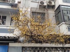 门面-无名面条店(路子铺小区店)