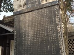 -天龙宝严素食馆(大兴善寺店)