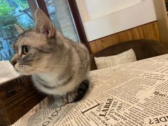 -隅cafe(傅厚岗店)