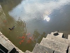-阿育王寺